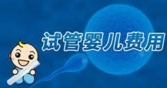 湖南省人工助孕一般需要花费多少费用？