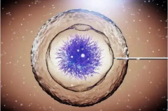 2026在辽宁做三代试管助孕大约花费8至15万元，含费用明细与省钱技巧