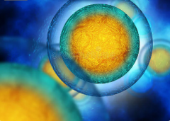 2026年单身做试管婴儿北京大学第一医院太原医院接受吗？流程一览