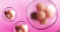 四川做试管婴儿的花费高不高？要多少算合理范围？（3-8万算正常内）