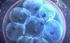 西安市三代试管婴儿费用全览，附单周期具体花费明细