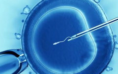 单身女性在盛京医院做试管可以吗？费用与成功率详解