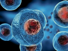 2026海南10大助孕机构公司名单(附详细排名信息)