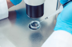 湖南长沙私立医院试管婴儿包成功可信吗？真实成功率大概是多少？