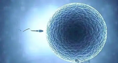 成都三代试管助孕费用明细如何？附助孕生育费用价格表