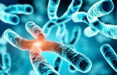 2026年哈萨克斯坦第三代试管婴儿费用全揭秘，2026年最新收费标准一览