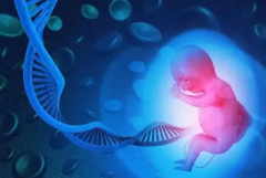 2026昆明地区三代试管助孕费用明细公布，价格透明