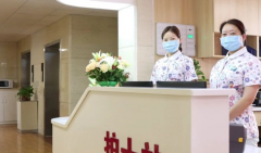 2026广东省湛江值得信赖的助孕公司推荐榜单，助力难孕家庭