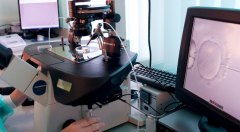 广东茂名试管婴儿私立医院排名前五名推荐（广东茂名私立试管医院哪