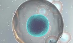 2026威海做第三代试管婴儿费用详解，准备10万够用妈？建议先看看清单