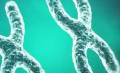 太原三代试管口碑好的医院做助孕生孩子费用多少