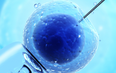 2026年福建省福州第三代试管婴儿费用完整公布，2026年最新价格明细表