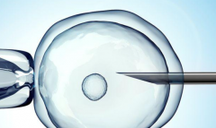 2026年济南试管婴儿三代费用详情，官方价格明细表正式发布