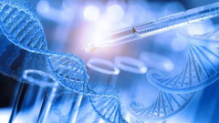 辽宁沈阳专业助孕服务全程价格表，各个环节实际花费多少钱？