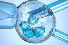 乌克兰第三代试管婴儿的医院真的可以包成功吗？可信度高吗？