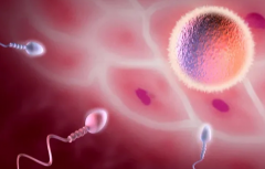 昆明三代试管婴儿费用大致需要多少？详细说明试管婴儿各环节花费+资