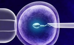 2026年云南私立试管医院都有哪些，附前十医院名单