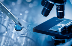 2026年河北省石家庄靠谱助孕公司名录曝光，联系信息一览表