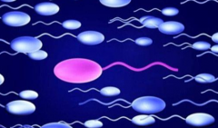 青海省三代试管婴儿助孕费用详情，价格清单一览表