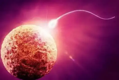 去美国试管婴儿前必读！这些承诺可能暗藏骗局，最常见的就是“包成