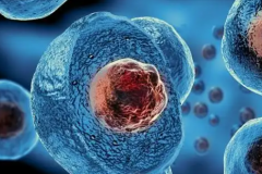 美国三代试管婴儿助孕费用明细表，2026年试管收费价格一览表！