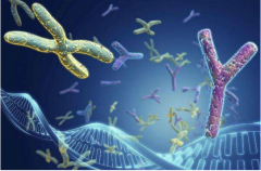 2026海南三代试管助孕花费大公开！备孕家庭必看的助孕指南