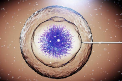 2026年山东大学第二医院单身试管成功率及费用明细，真实经验分享