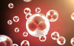 2026湖南湘潭三代试管婴儿助孕费用，附详细费用清单