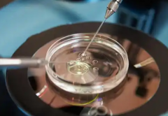 兰州市三代试管助孕通常要花多少费用？附2026年试管移植全套账单！