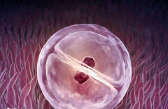 长春市三代试管助孕价格全揭秘 附详细费用清单供你参考