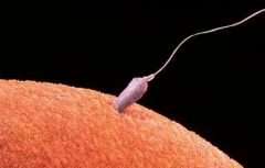 2026江苏南京三代试管婴儿费用清单发布，这些额外支出你注意到了吗