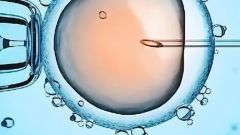 山东省菏泽助孕生子的机构公司有哪些？成功率怎么样？