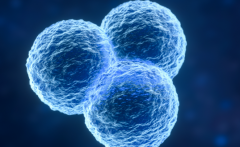 重庆市三代试管助孕生育孩子费用清单