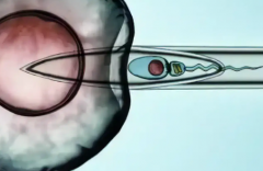 贵州贵阳市私立医院试管包成功是真的吗？业内人士透露真相