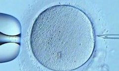 2026石家庄做三代试管婴儿价格是多少？费用参考发布