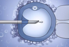 2026年辽宁省妇幼单身试管婴儿花费明细表参考