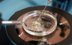 成都做试管助孕的私立医院都有哪几家？四家私立机构特色服务全解析