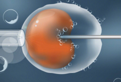2026年在广西省南宁市做三代试管包成功可信度高吗？医院详情分享