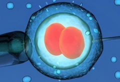 警惕虚假宣传！乌克兰试管婴儿包成功背后的真相解读