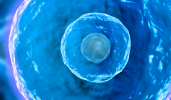 黑龙江三代试管助孕成本全面揭晓，各项费用明细一览