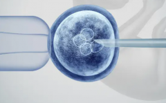 2026年海外做试管婴儿多少钱？第三代技术各环节费用详细公开