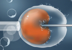 中国做三代试管助孕一般花费多少钱？附2026年试管移植全部费用明细