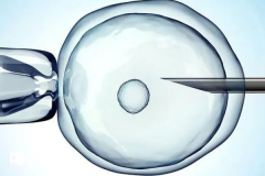 2026江西省试管助孕没结婚证也能做？井冈山大学附属医院回应