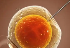 广东省深圳第三代试管助孕价格是多少？费用规划与节省开支攻略