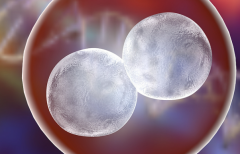 菏泽做第三代试管婴儿的费用大概是多少？明细都包含哪些？