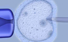 太原各大医院试管助孕一般多少钱？附公立和私立助孕生子费用一览