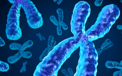 贵阳试管包成功私立医院如何选？专业建议助您避坑