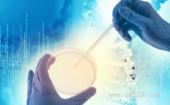 2026海口市第3代试管婴儿私立机构推荐 | 海口10家值得信赖的医院榜单