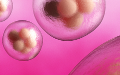 龙岩单身女性在福建省龙岩市第一医院做试管婴儿成功率有多高？