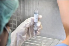 成都市第三代试管婴儿费用一览表公布，2026年9月最新数据